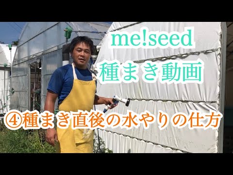 発芽後の水やりの頻度とやり方は？  庭園