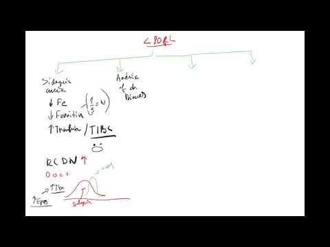 Anemia 3 by Coiled ENGLISH (sideropenic, anemia of chronic disease, sideroblastic, thalassemia, MCV)