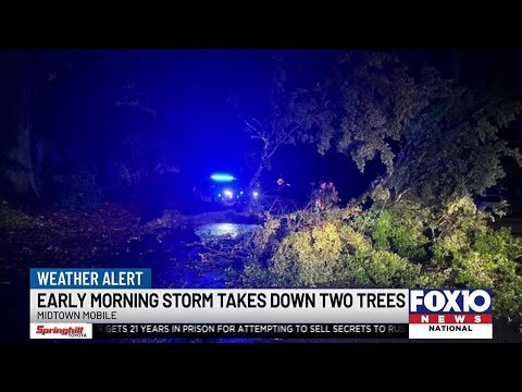 Storms knock down trees in Mobile