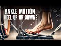 Ankle Technique: Heel Up or Heel Down? - James Payne