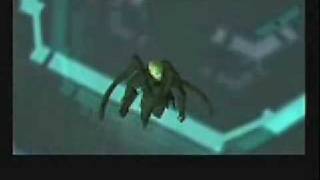 Solidus - The Hate in Me