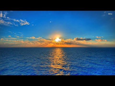 Relaxing 3D Beach Vibes 🌴 Stunning CGI Environment (Animated Short)