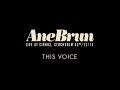 Ane Brun "This Voice - Live"