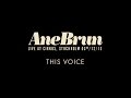 Ane Brun "This Voice - Live" 