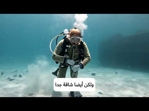 The History of Diving Techniques