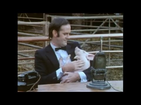 The Man who Contradicts People - Monty Python's Flying Circus - S02E09