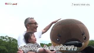 2026/7/16放送・知ったかぶりカイツブリにゅーす