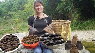 Harvest stone snails to bring to the market to sell - how to make delicious fried snails