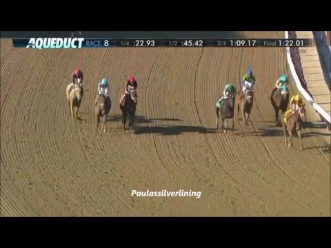 2016 Distaff Handicap 2016  -Paulassilverlining
