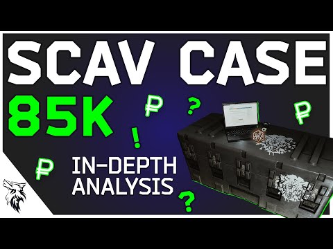 Is the Scav Case worth it? In-Depth Analysis from 50 Attempts - 85k Option