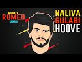 Naliva Gulabi Hoove Remix Romeo Lo Fi Hip Hop Auto Raja