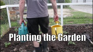 Spring Gardening - Getting Ready and Planting Seedlings