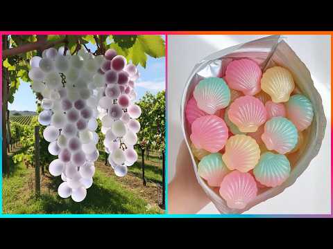 Top 155 FOOD ART & SNACK Ideas| Best Treats of The Year