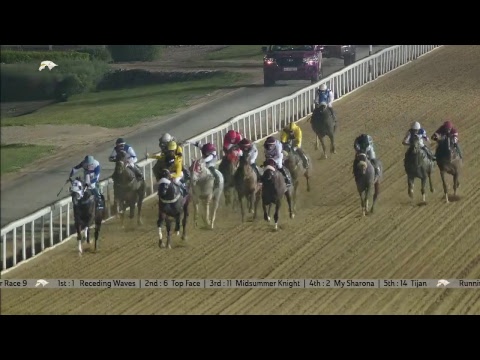 22nd Race Meeting of Season 2018/2019