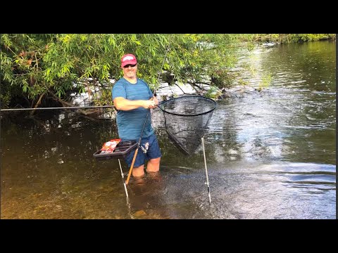 Float fishing for chub and barbel using hard pellets!!