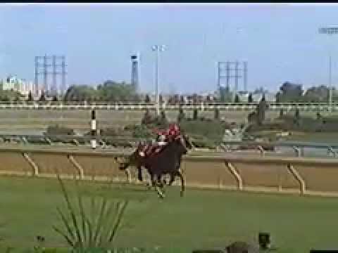 Wando - 2003 Breeders' Stakes - Stretch Run (from apron)