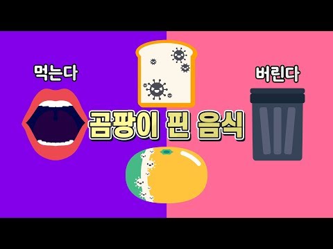 곰팡이가 핀 음식 떼어내고 먹어도 괜찮을까? 