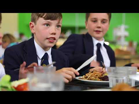 A Day in the Life of Sam