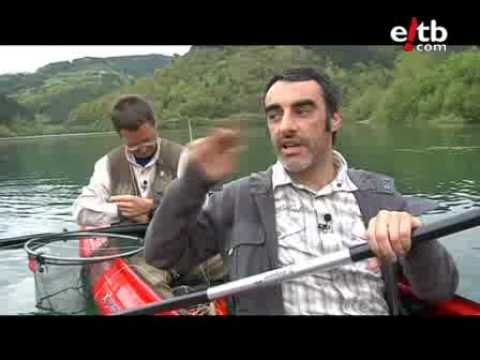 Bi Errepidean: arrainak eta arrantzaleak