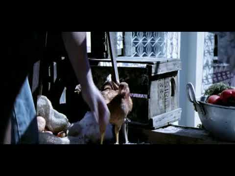 AKALACRISIS  - TAMO EN LA CITY