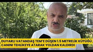  Duyarlı Vatandaş TEM'e Düşen 1 5 Metrelik Kütüğü Canını Tehlikeye Atarak Yoldan Kaldırdı