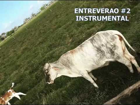 ENTREVERAO # 2  –  Instrumental  llanero  [música llanera] 🎵