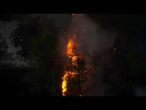 Second Wildfire Arrest