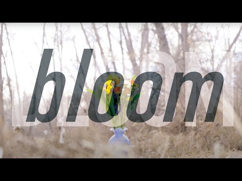Bloom Music Video