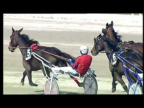 Napoli Trotto 25/03/2022 - 2ª corsa