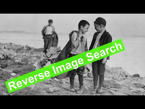 Reverse Image Search | How to Use Tineye