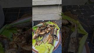 Download lagu Life in the Philippines #highlights #jerseymae #Marinduque #home mp3 Download lagu Life in the Philippines #highlights #jerseymae #Marinduque #home mp3