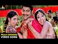 Naa Alludu Songs Pilla Choodu Video Song Jr NTR Shriya Genelia Sri Balaji Video