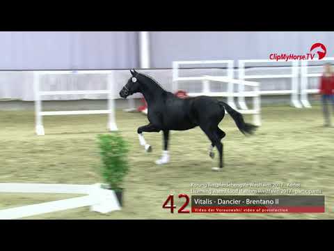 42 Junghengst v. Vitalis - Dancier