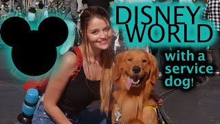 preview picture of video 'DISNEY WITH MY SERVICE DOG | Travel Vlog with a Service Dog'