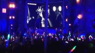 David Guetta - One voice at TomorrowWorld 2013 Atlanta USA #theworldneedsmore