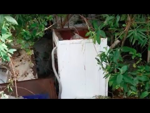 Florist Hears Strange Noises Inside Abandoned Washing Machine And Immediately Calls For Help Video