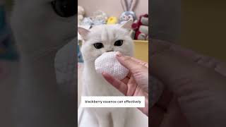 This Gives Your Cat Crystal Eyes! 😻👀