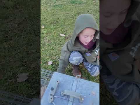 Why the Squirrelinator