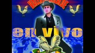 Valentin Elizalde Cuida Tu Vida( Norteño )