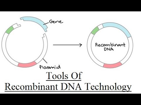 Tools of Recombinant DNA technology | For XII, B.Sc. and M.Sc.