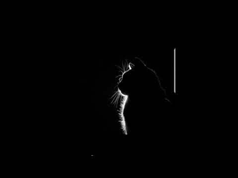 "Shadow" (FREE) Guitar Type Beat Instru Rap Lacrim x Timal x Niro (prod.Nembo Kid Production)