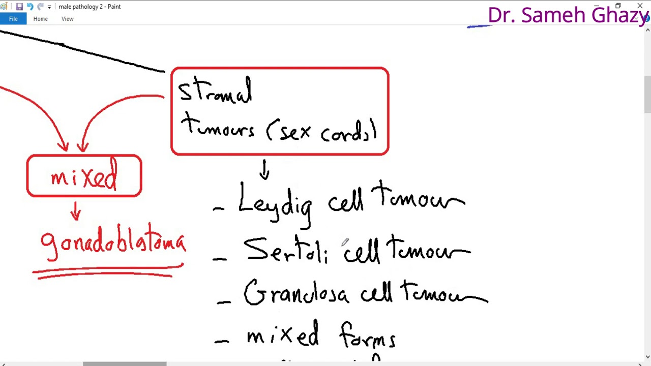 systemic pathology 57 : male genital system 1 ( tumors of testis ) أورام الخصية DR. SAMEH GHAZY