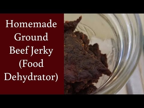 EASY Homemade Ground Beef Jerky in a Food Dehydrator