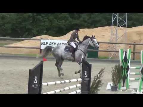 **SOLD TO USA** 7yo Cancara x Carpaccio ~ Show