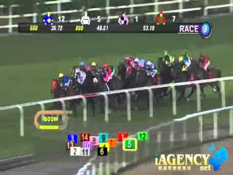 SINGAPORE RACE 17/01/2014 RACE 9 - iAgencyNet.com