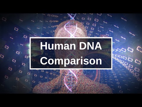 DNA Similarities Between Humans And Other Organisms(Genetic Similarities)
