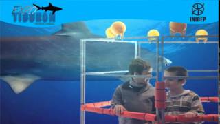 DIA 2 Expo Tiburon110