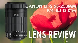 Video thumbnail for Testing my new lens - CANON EF-S 55-250MM F/4-5.6 IS STM. by Appelmoes - Art and Photography