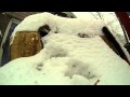Fireworks In Snow