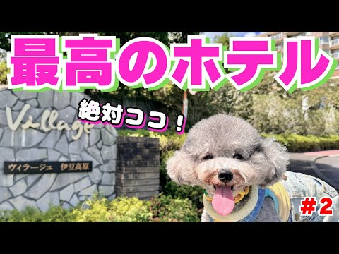 YouTube動画を再生